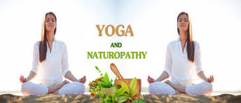 DIPLOMA IN NATUROPATHY & YOGIC SCIENCE